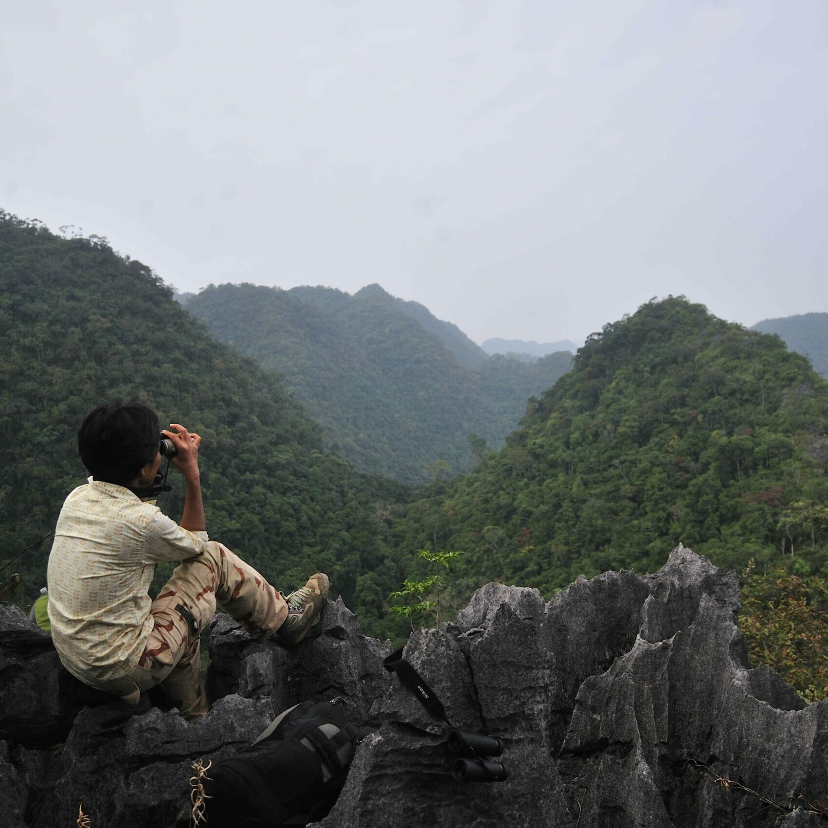 Monitoring gibbons in Asia