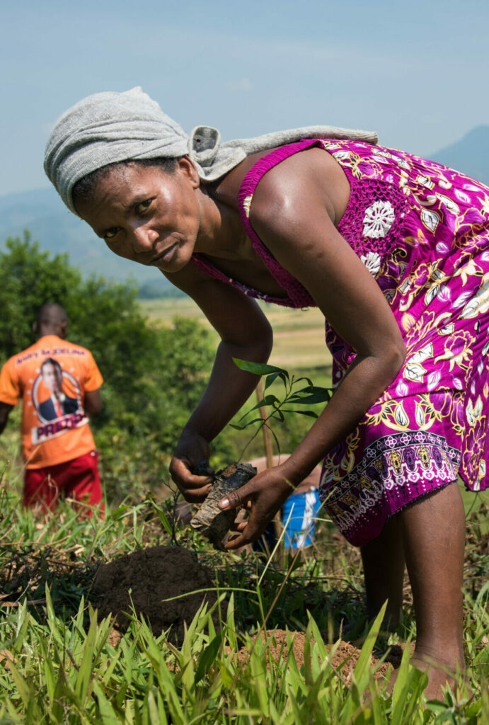 Woman planting a tree in Africa