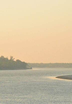 The Sundarbans delta