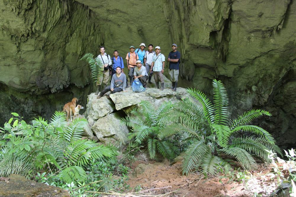 Project Team with Zamia prasina