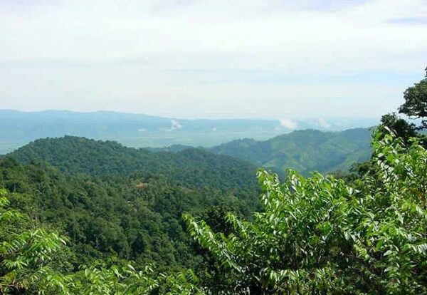 The project aimed to promote community-based ecotourism to Sierra Caral - the largest intact remnant of rainforest in the region