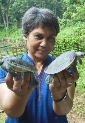 Rupali Ghosh, a driving force in Batagur turtle conservation