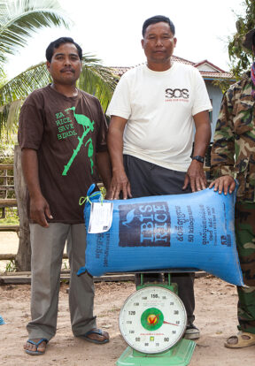 Community members prepare to market ibis friendly rice in Cambodia