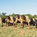 K9 Unit Exercising together