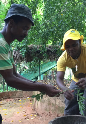 Dominique and Ndriana mashing voandelaka