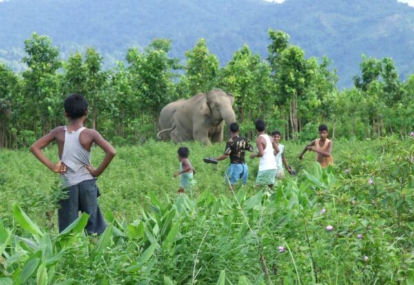 Elephant close to villagers