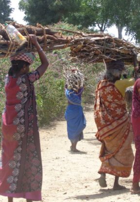 Women collecting firewood