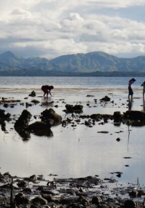 Women gleaning along the shoreline