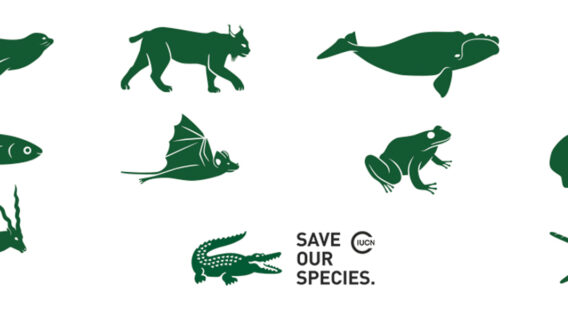 Lacoste for Save Our Species 2019