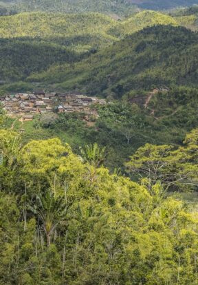 Landscape, Madagascar