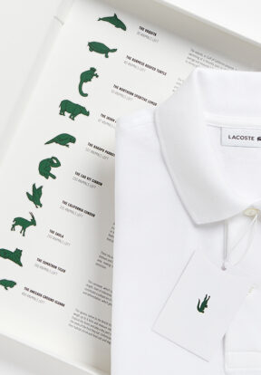 Lacoste Condor