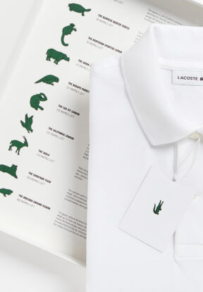 Lacoste Tiger