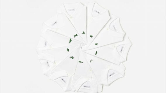 Lacoste Species Wheel