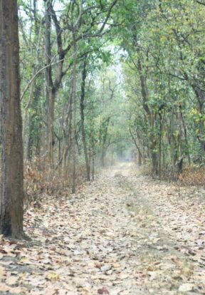 Subarnapur village area, Nepal