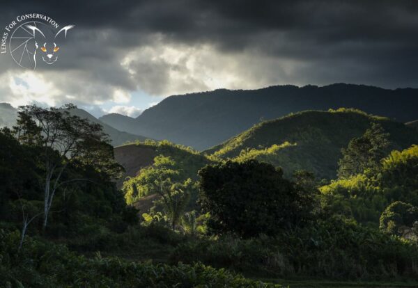 SOS lemurs projects take place across a variety of geographies in Madagascar.