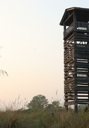 Watch tower in Bardia NP