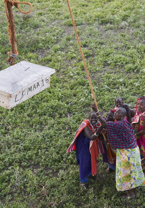 Women hanging a beehive