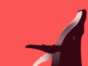 Fondation Segré Conservation Action Fund 3 Whale illustration
