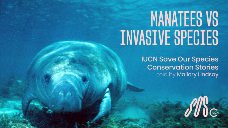 IUCN SOS Conservation Stories