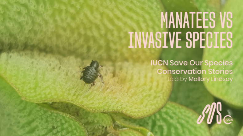 IUCN SOS Conservation Stories part 2