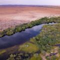 Saving South Africa’s Most Threatened Migratory Freshwater Fish