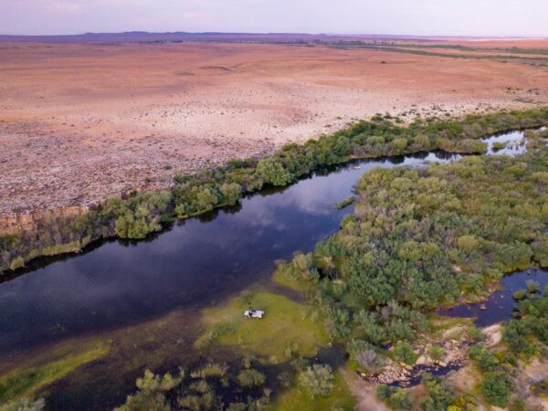 Saving South Africa’s Most Threatened Migratory Freshwater Fish