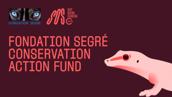 Fondation Segre 2022 website