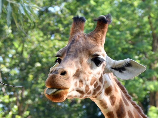 42697447011 48f1c95834 c