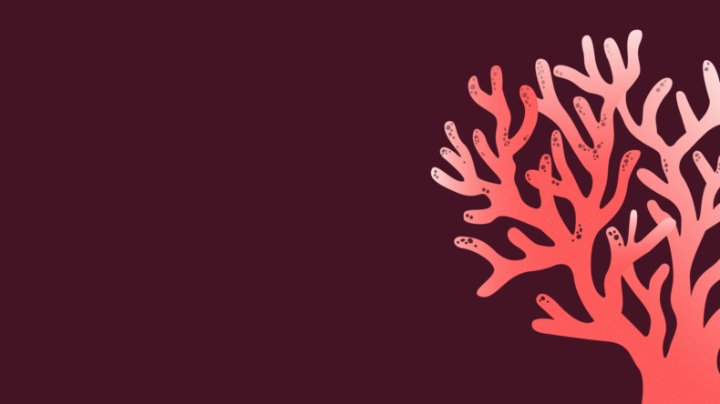 Coral illustration