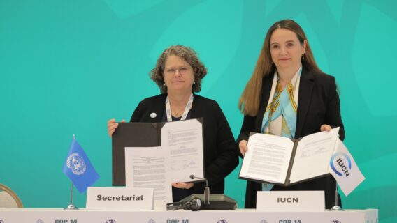 Dr Grethel Aguilar and Amy Fraenkel signing the MOU at the CMS COP14 in Uzbekistan