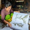 A herbarium complied by one of our youth partners Photo WCS India