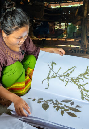 A herbarium complied by one of our youth partners Photo WCS India