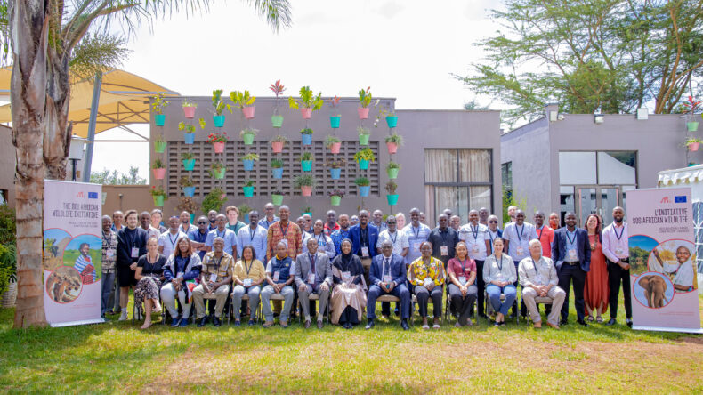 Celebrating conservation successes: lessons learned from the SOS African Wildlife initiative workshop in Nairobi 1 Participants of the SOS African Wildlife initiative lessons learned workshop
