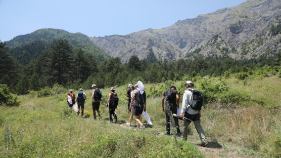 People walk in a field with mountains in the background.