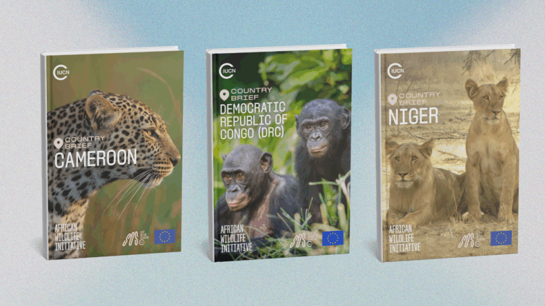 New IUCN African Wildlife Initiative country briefs highlight conservation progress across West Africa 1 Country briefs Niger Cameroon DRC African Wildlife Initiative