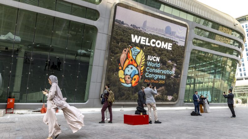 Five key takeaways for conservation action from the IUCN Congress 2025 1 G3HTNMKXcAA FDB