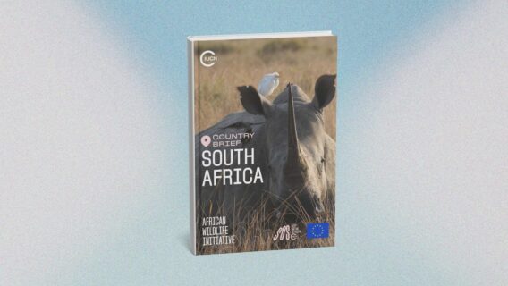 South Africa country brief