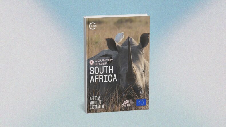 South Africa country brief