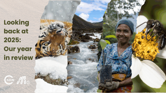 Looking back at 2025 Our year in review 2