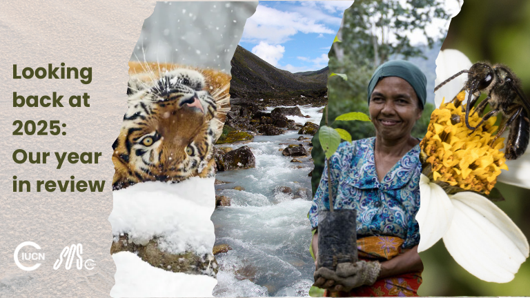 Looking back at 2025 Our year in review 2