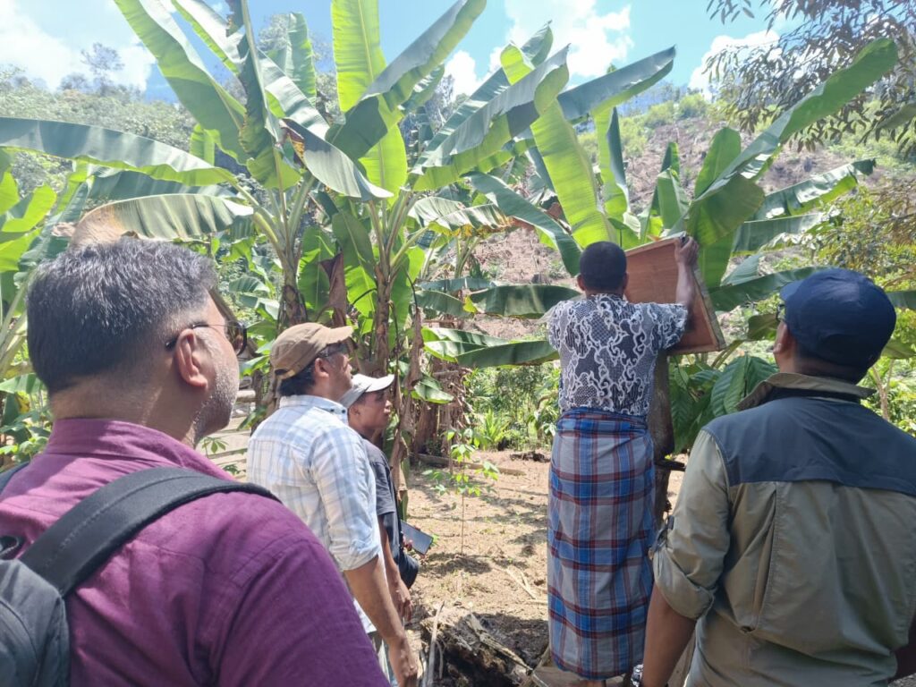 Agroforestry activities in Tanjung Belit
