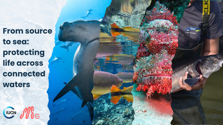 Looking back at 2025 Our year in review 8