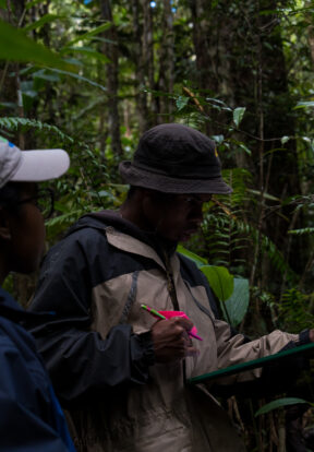 Wildlife Madagascar WM Team ASSR