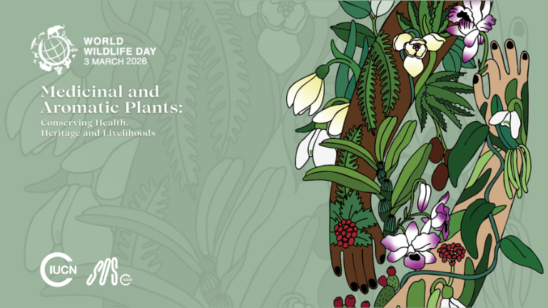 Looking back at 2025 Our year in review 7