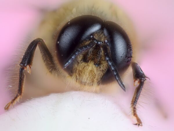 6167124689 d30084b3ee k