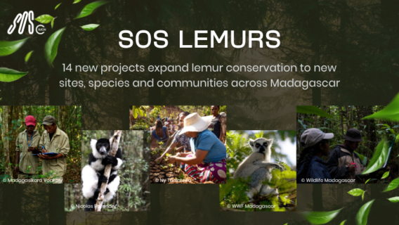 © Madagascar Biodiversity Center 4