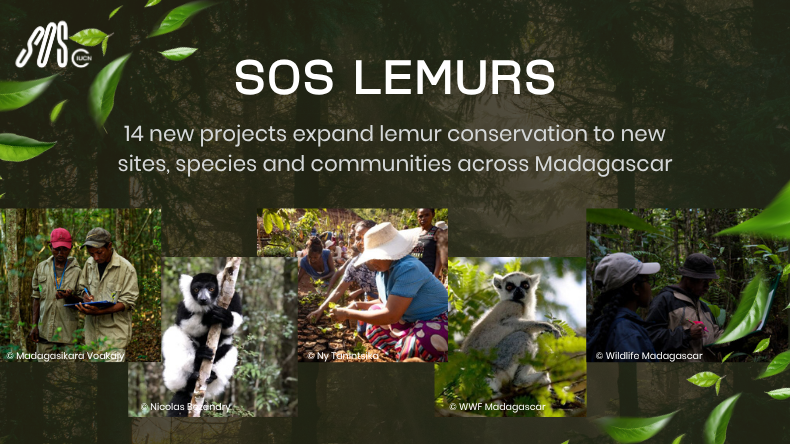 © Madagascar Biodiversity Center 4