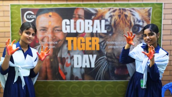 Young changemakers unite in their commitment to protect the Bengal tiger